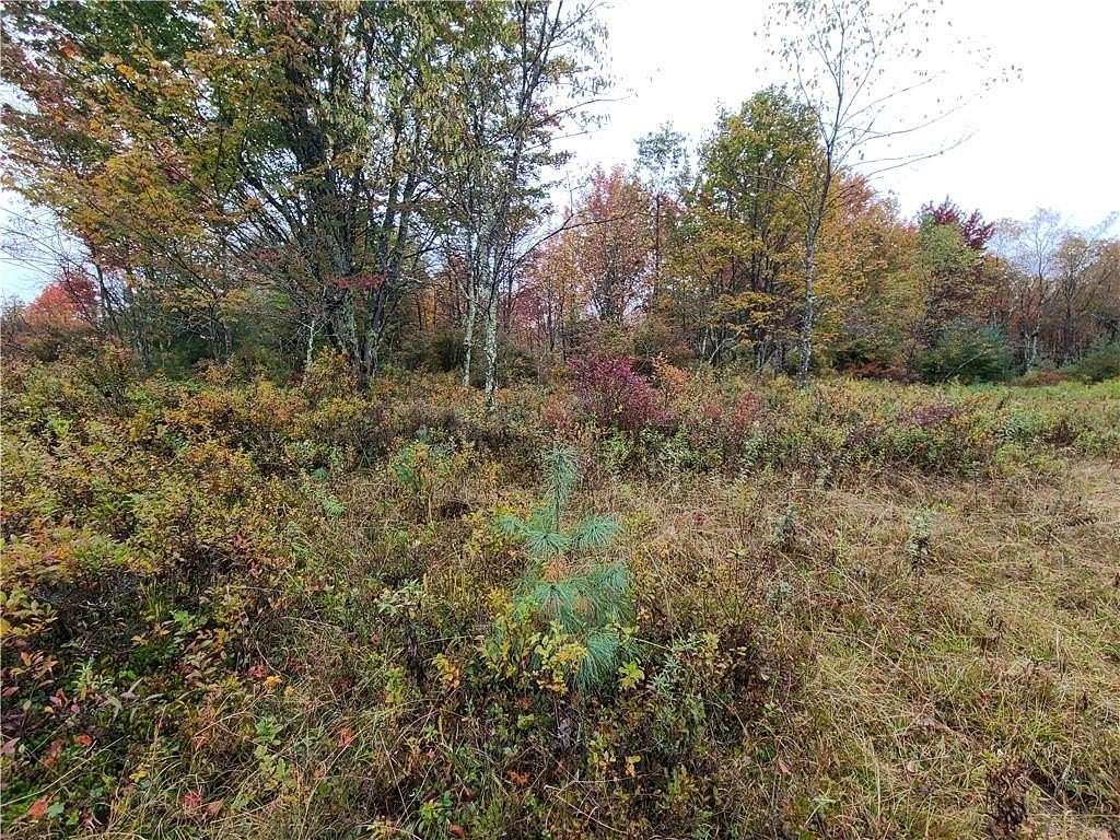 9.38 Acres of Residential Land for Sale in Claryville, New York
