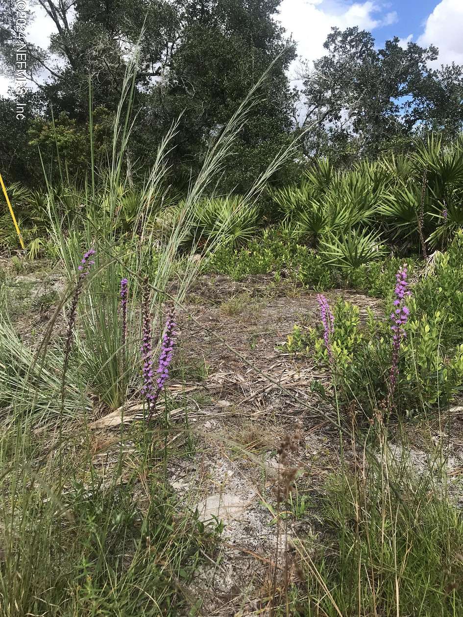 0.46 Acres of Land for Sale in Satsuma, Florida