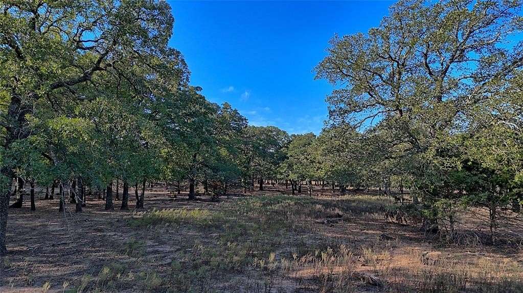 10 Acres of Land for Sale in St. Jo, Texas