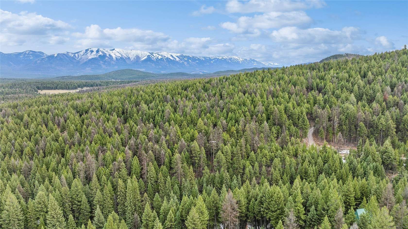 5.017 Acres of Residential Land for Sale in Fortine, Montana