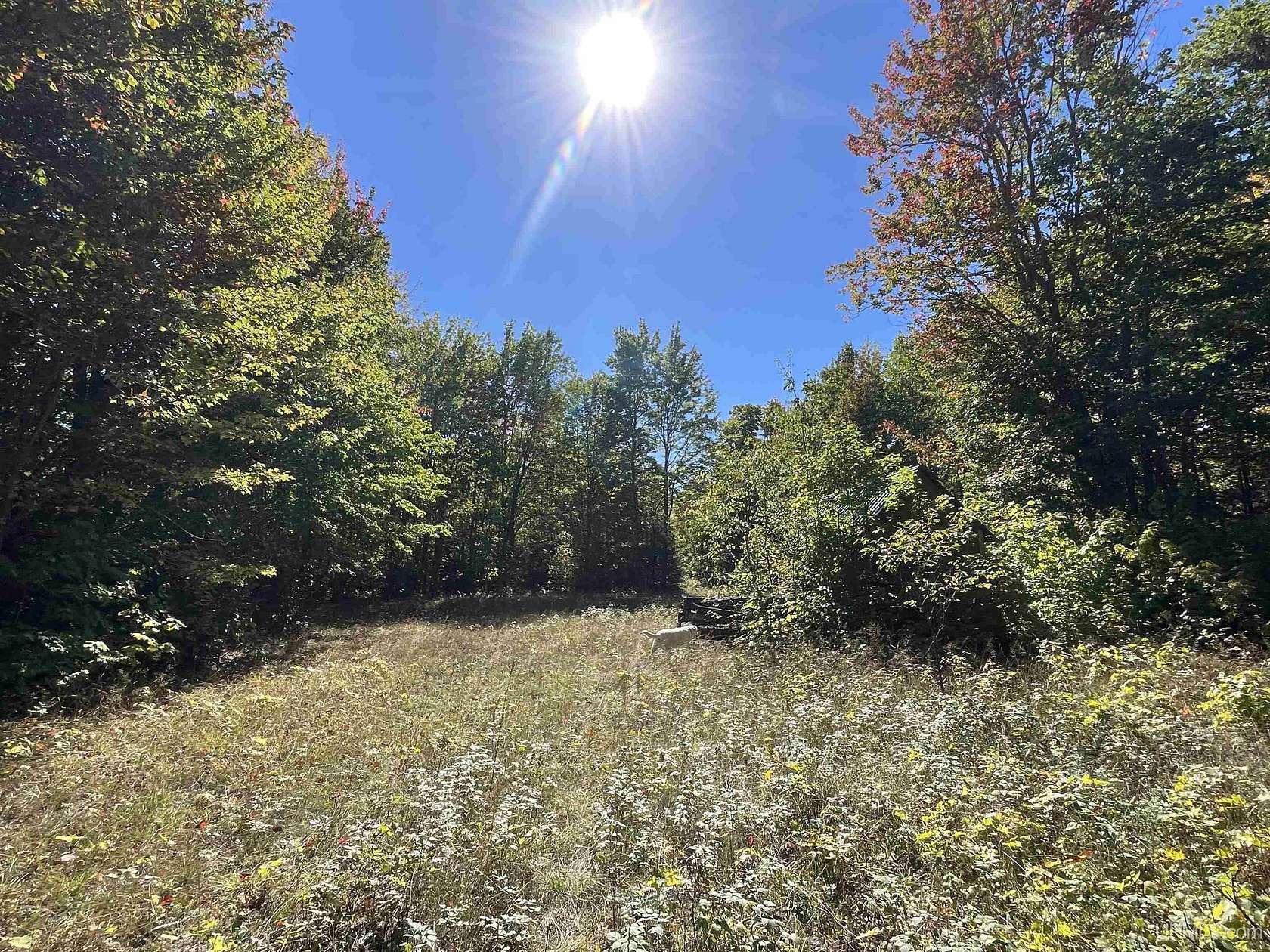 40 Acres of Recreational Land for Sale in Grand Marais, Michigan