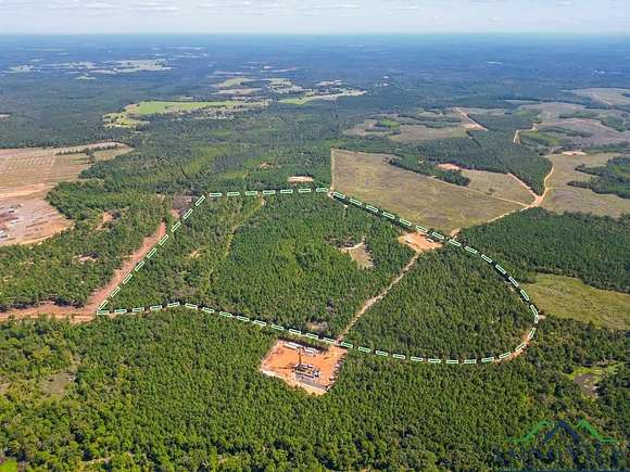 123.97 Acres of Land for Sale in Hughes Springs, Texas