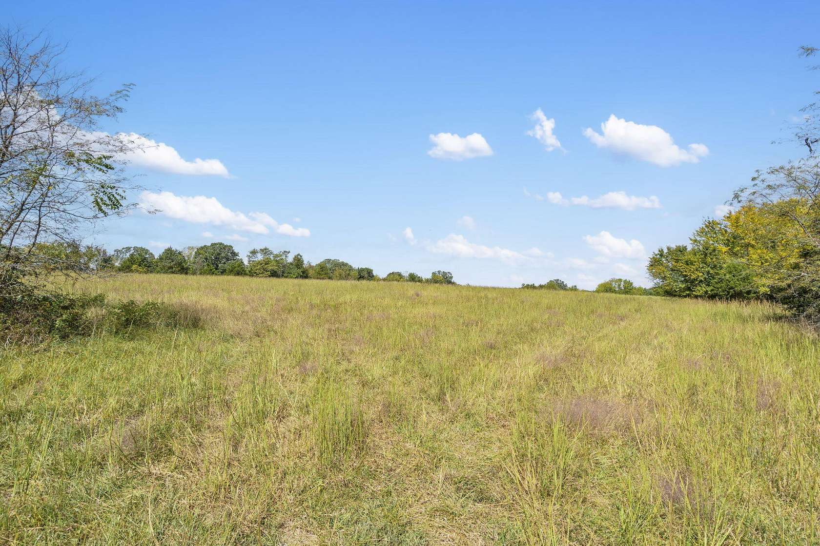15.1 Acres of Land for Sale in Strafford, Missouri