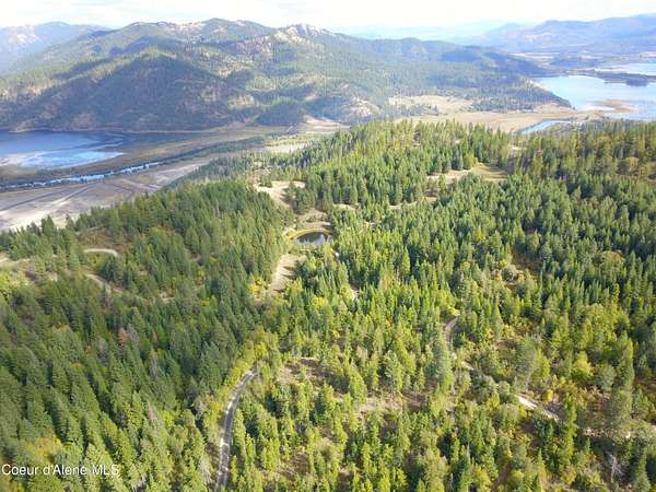 21.5 Acres of Recreational Land for Sale in Harrison, Idaho