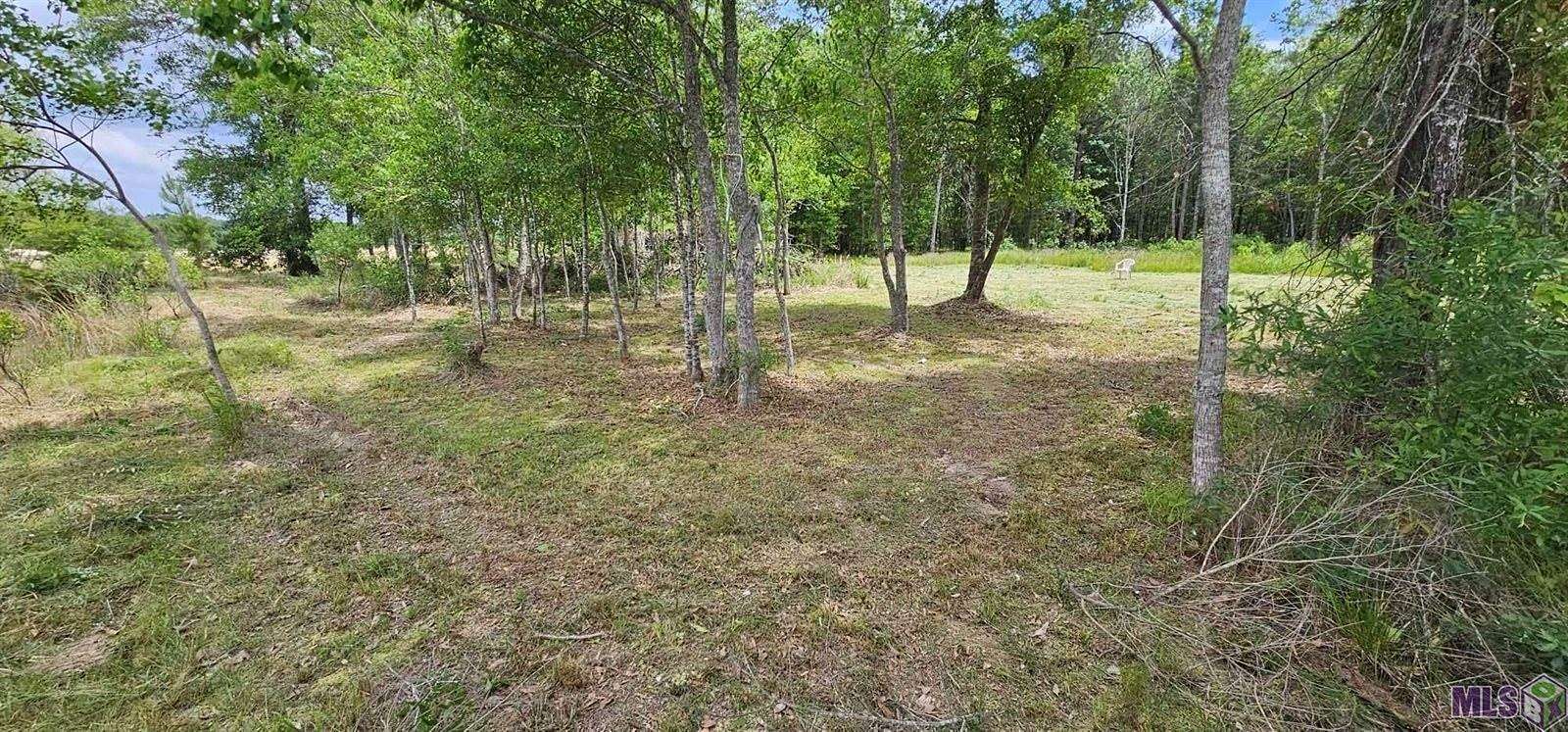 4.19 Acres of Residential Land for Sale in Denham Springs, Louisiana