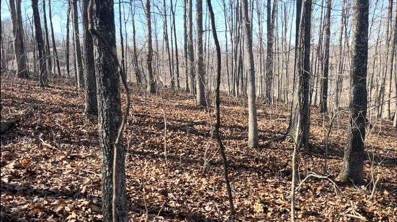 2.56 Acres of Land for Sale in Mountain View, Missouri