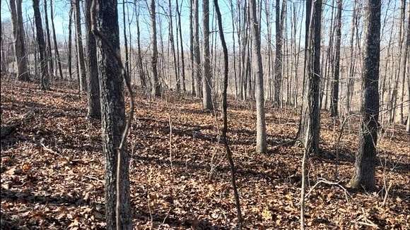 2.56 Acres of Land for Sale in Mountain View, Missouri