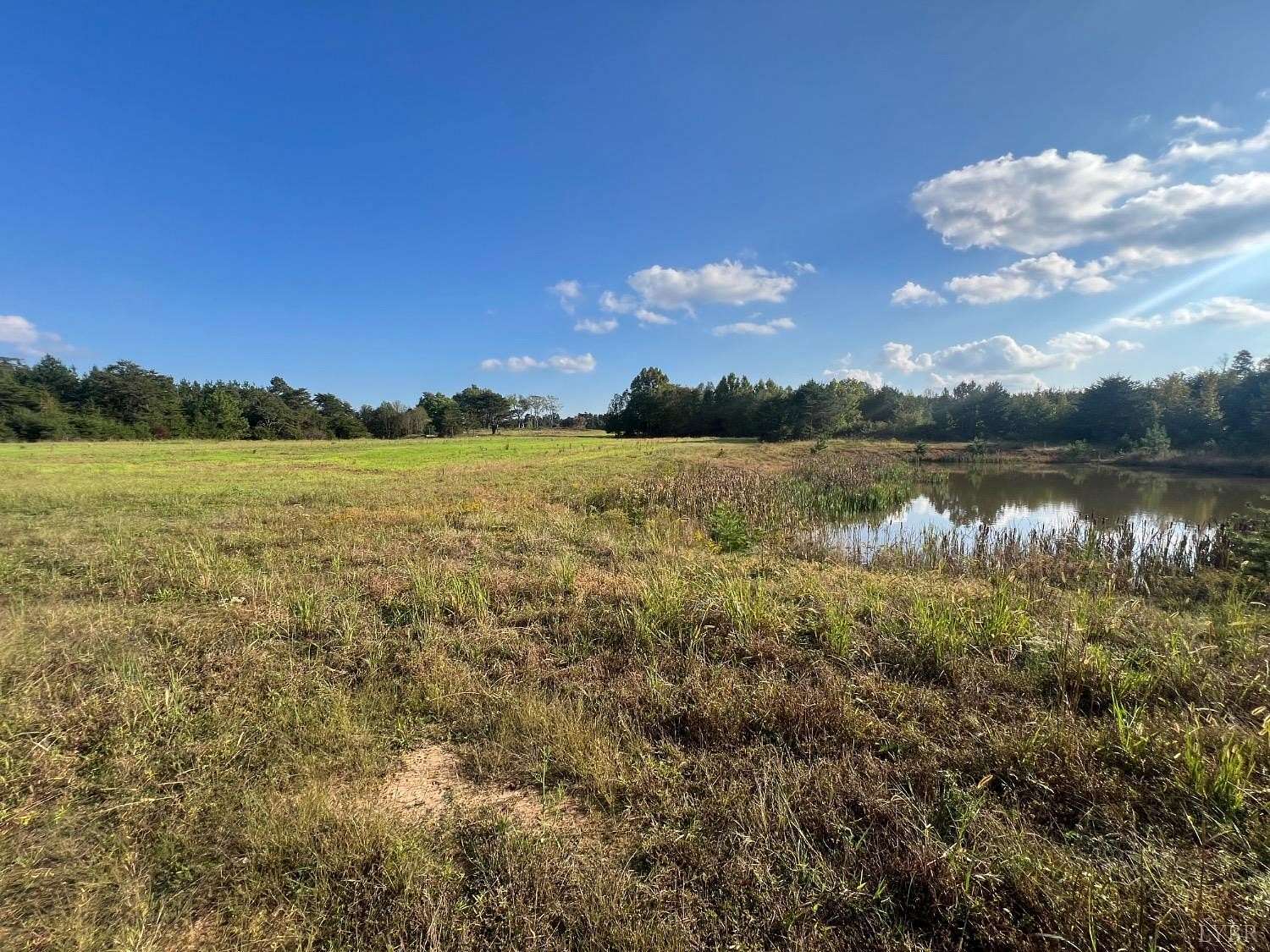 84.6 Acres of Land for Sale in Gladys, Virginia