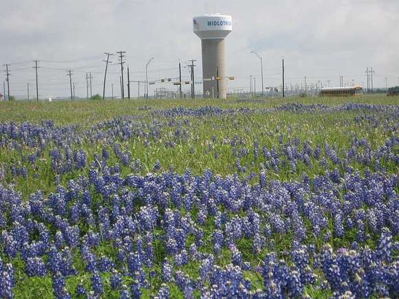 54.533 Acres of Land for Sale in Venus, Texas