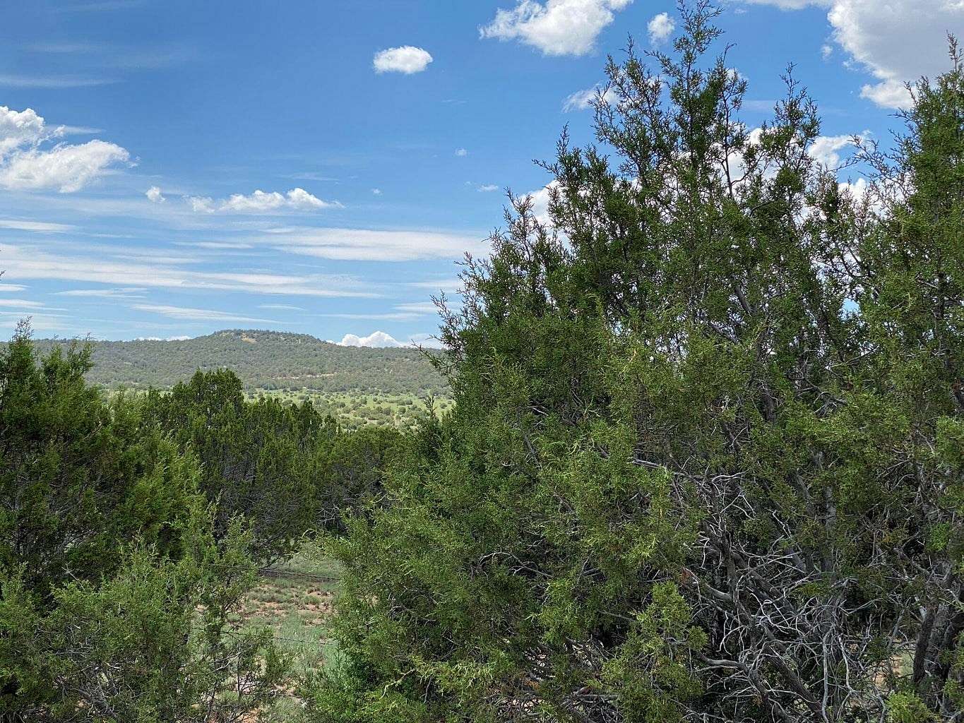 10 Acres of Land for Sale in Edgewood, New Mexico