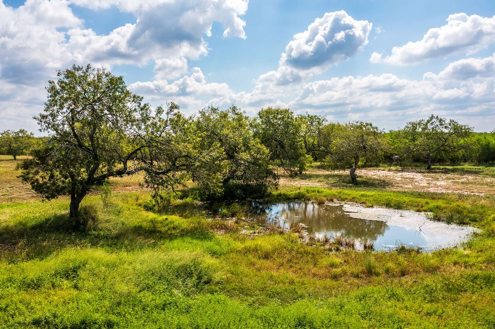 586 Acres of Land with Home for Sale in Alice, Texas