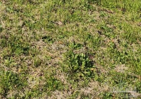 4.2 Acres of Residential Land for Sale in Milton, Florida