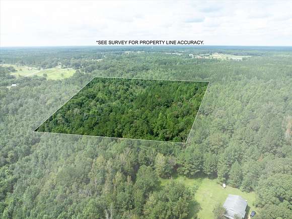 40 Acres of Land for Sale in Lumberton, Mississippi