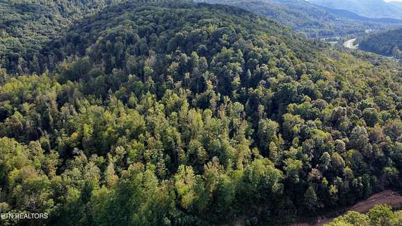 31 Acres of Recreational Land & Farm for Sale in Pioneer, Tennessee