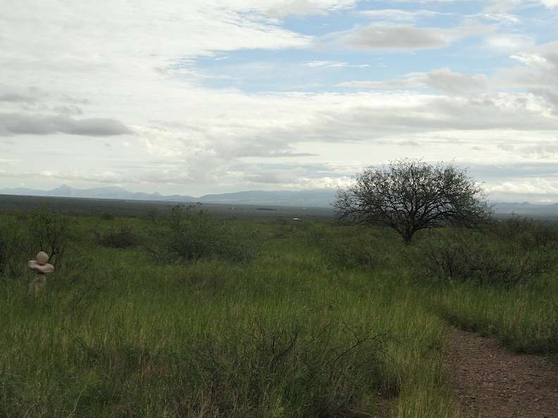 37 Acres of Recreational Land & Farm for Sale in Portal, Arizona