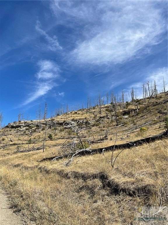 20 Acres of Recreational Land for Sale in Reed Point, Montana