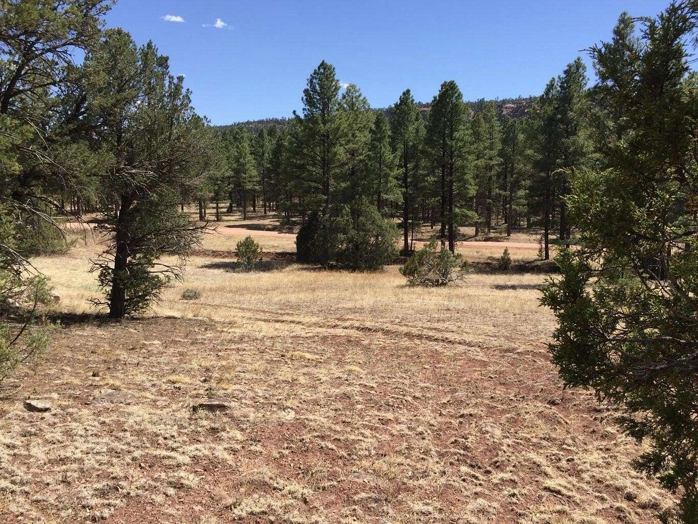 10.45 Acres of Recreational Land for Sale in Ramah, New Mexico