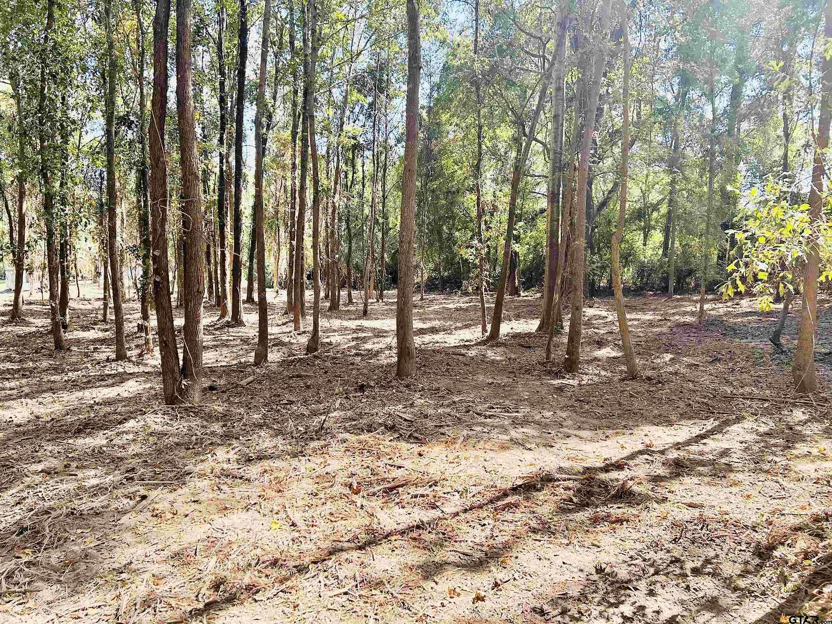 1 Acre of Residential Land for Sale in Troup, Texas