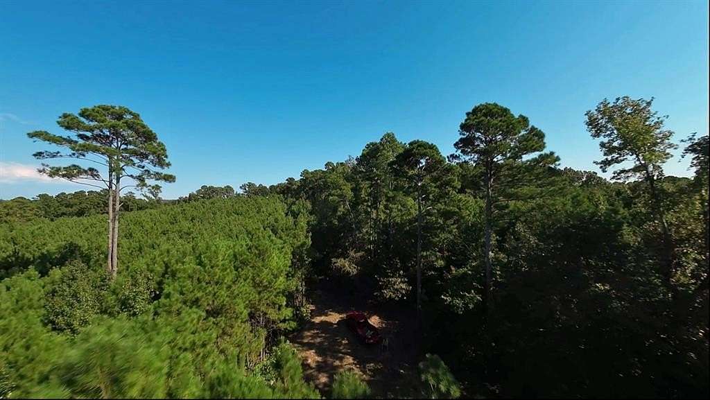 24.684 Acres of Agricultural Land for Sale in Avinger, Texas