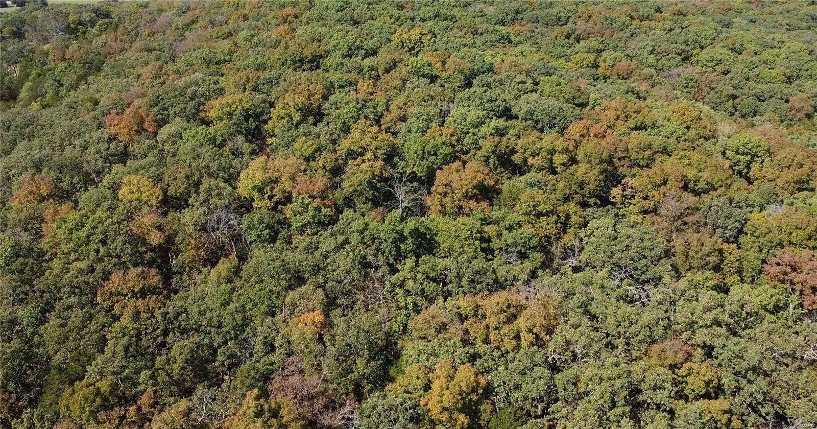 10 Acres of Land for Sale in Dittmer, Missouri