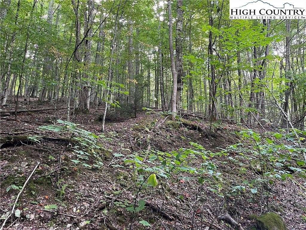 0.39 Acres of Land for Sale in Beech Mountain, North Carolina