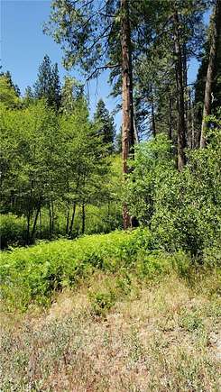 0.142 Acres of Land for Sale in Cedar Glen, California