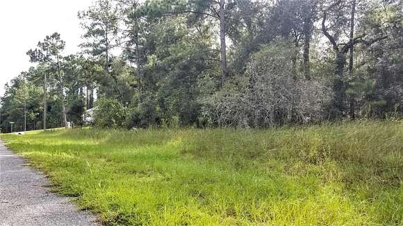 0.44 Acres of Land for Sale in Citrus Springs, Florida