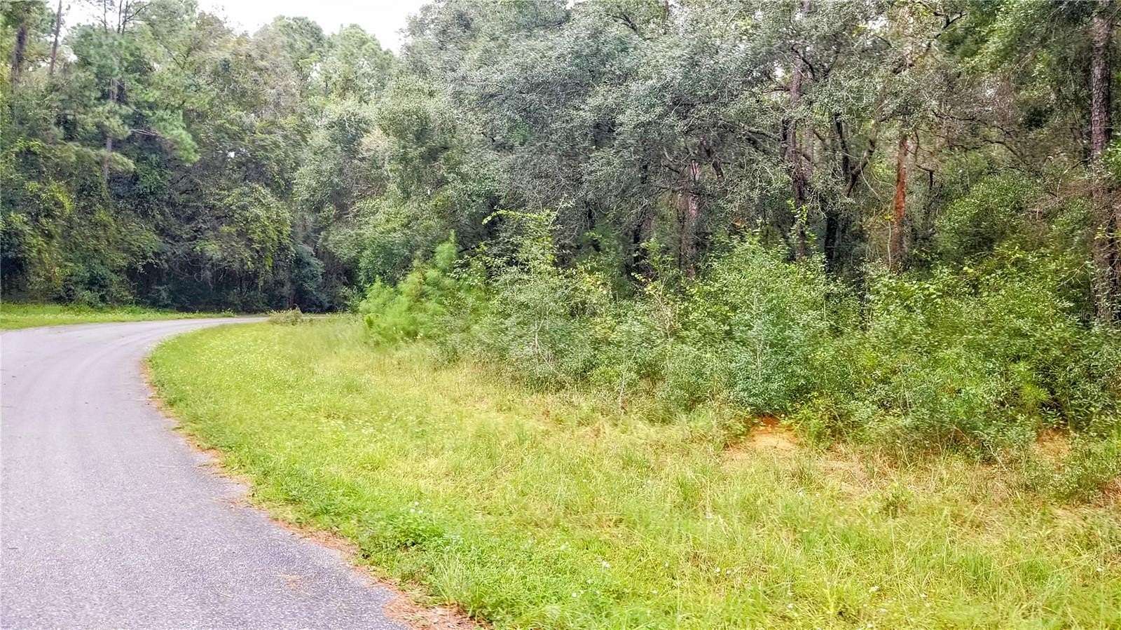 0.38 Acres of Land for Sale in Citrus Springs, Florida