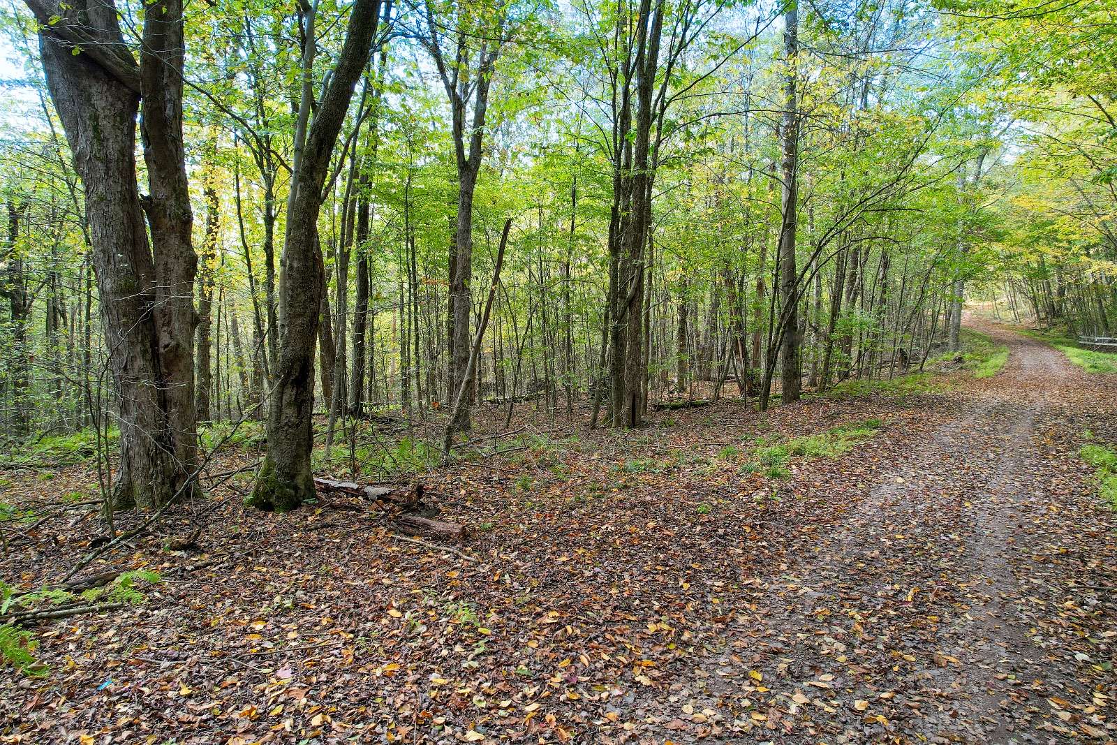 5.1 Acres of Land for Sale in Hancock, New York