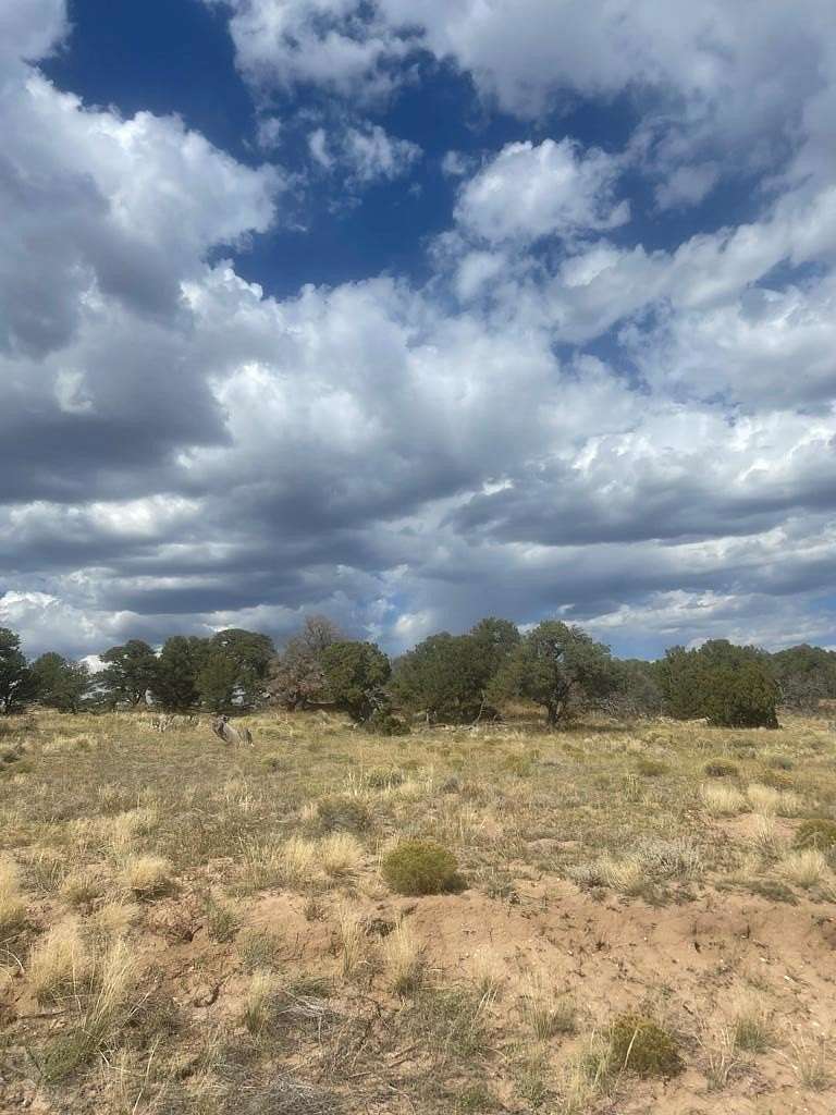 35 Acres of Land for Sale in Walsenburg, Colorado