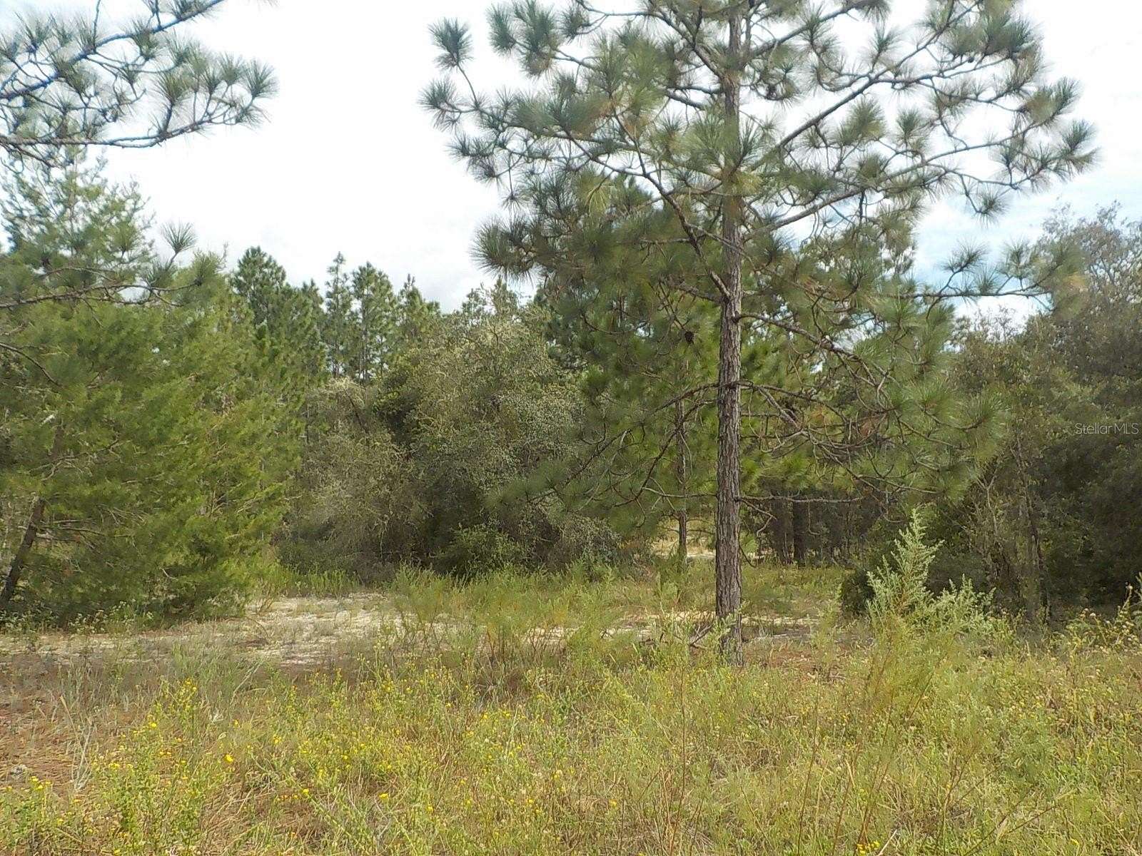 0.99 Acres of Residential Land for Sale in Dunnellon, Florida