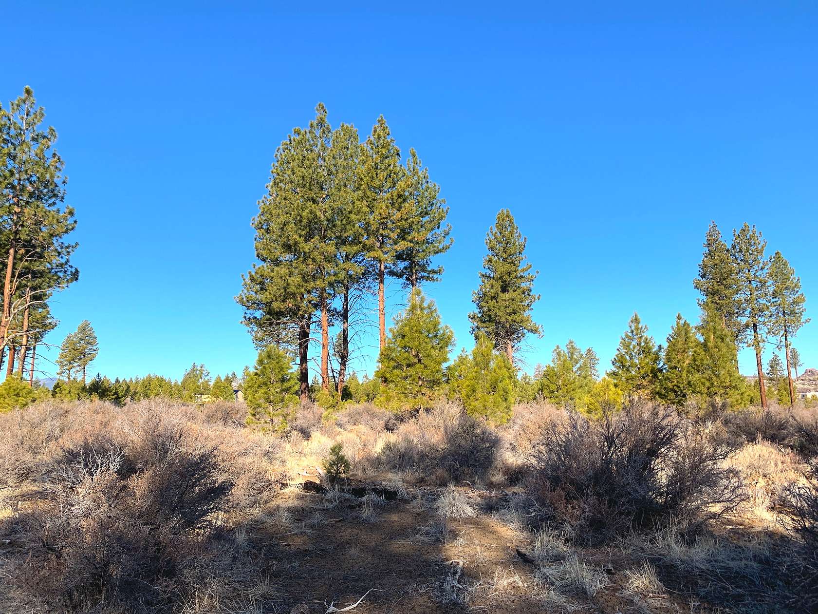 2.4 Acres of Land for Sale in Chiloquin, Oregon