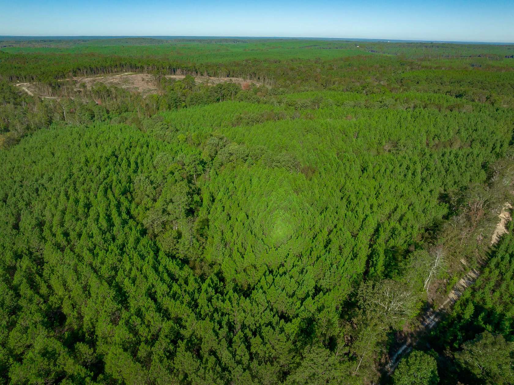 129 Acres of Recreational Land & Farm for Sale in Blair, South Carolina