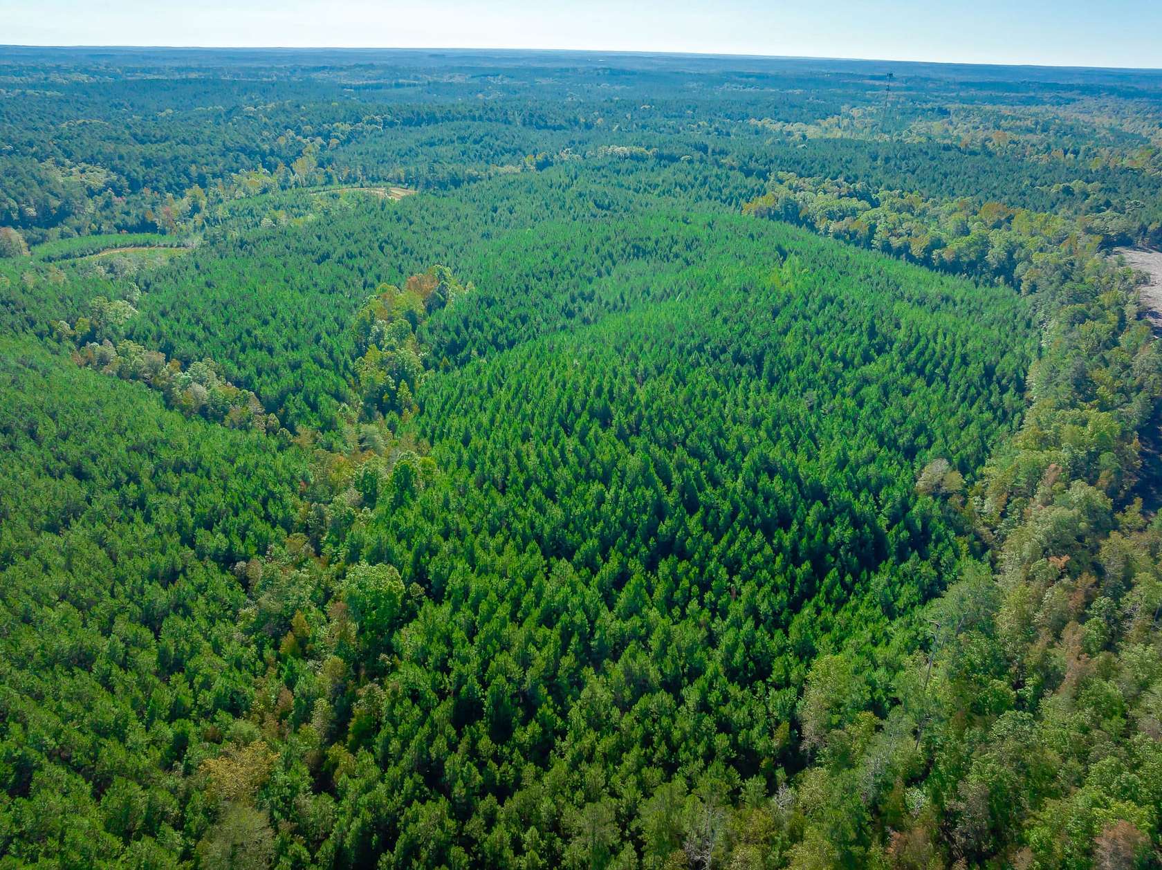 129 Acres of Recreational Land & Farm for Sale in Blair, South Carolina