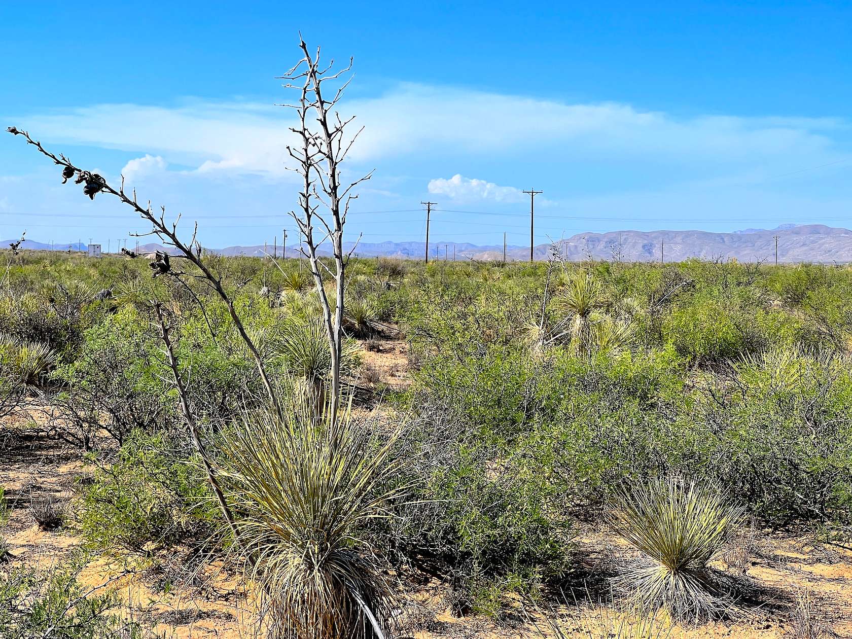 1.7 Acres of Land for Sale in El Paso, Texas