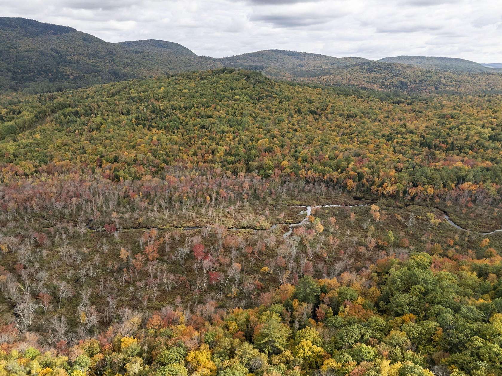 40 Acres of Recreational Land for Sale in Albany Township, Maine