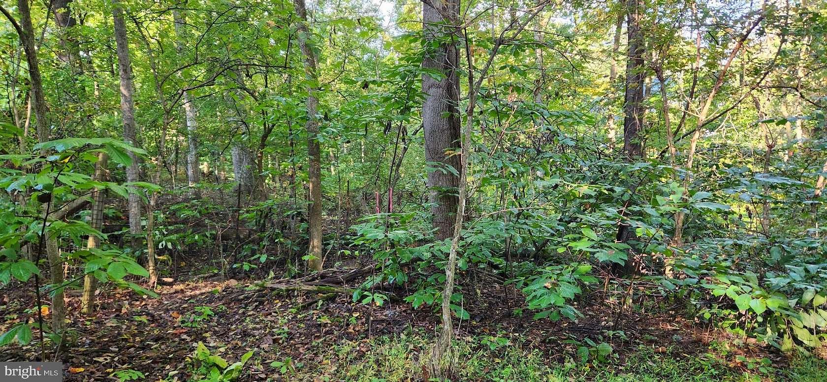 0.21 Acres of Land for Sale in Front Royal, Virginia