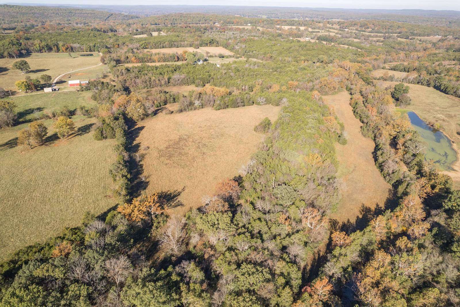 96 Acres of Recreational Land & Farm for Auction in Irondale, Missouri