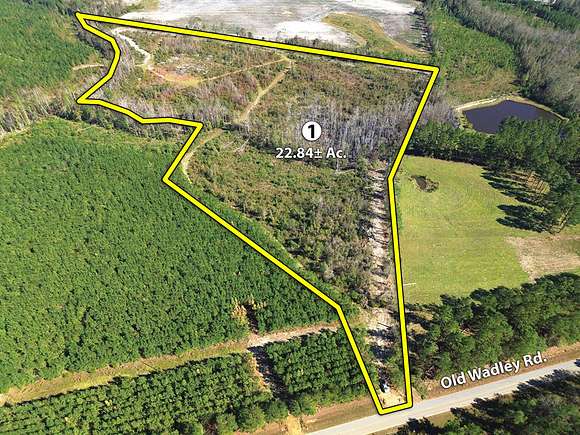 22.84 Acres of Recreational Land for Auction in Swainsboro, Georgia