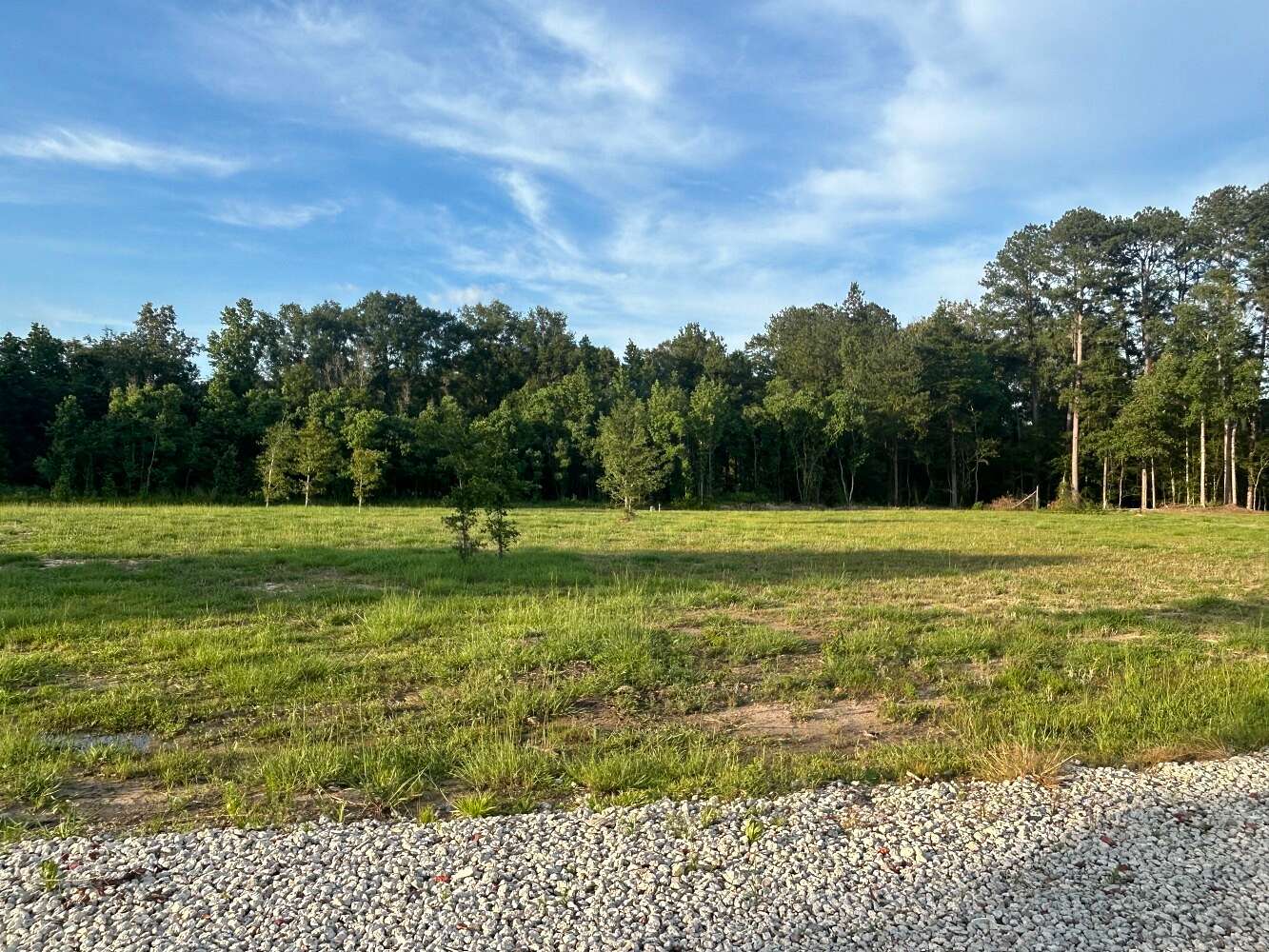 1.1 Acres of Residential Land for Sale in Walker, Louisiana