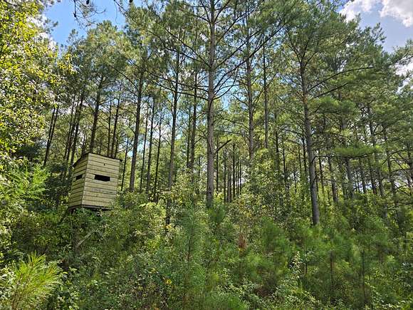 46 Acres of Recreational Land for Sale in Clio, Alabama