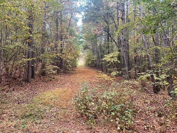 12 Acres of Land for Sale in Fayette, Alabama