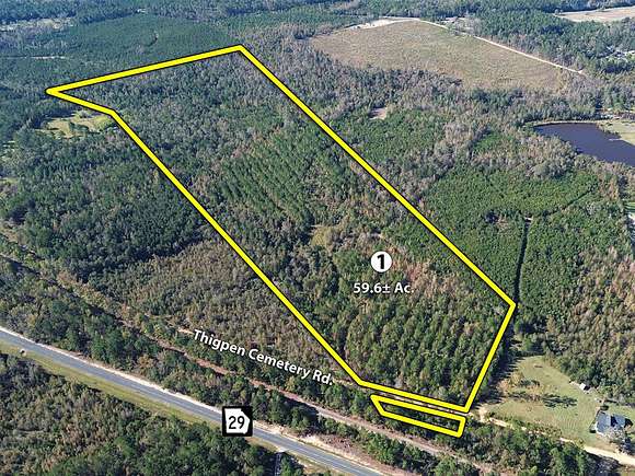 59.6 Acres of Recreational Land for Auction in Rockledge, Georgia