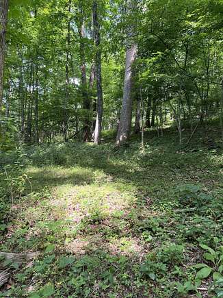 19.09 Acres of Land for Sale in Bridgeport, West Virginia