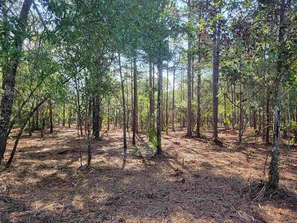 4.8 Acres of Land for Sale in Panacea, Florida