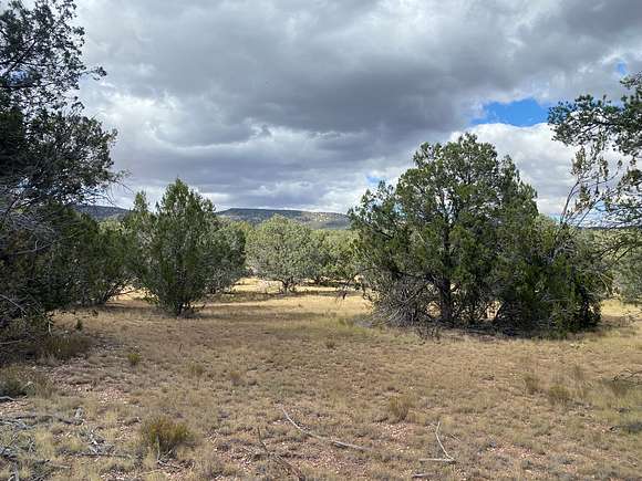 38 Acres of Land for Sale in Seligman, Arizona