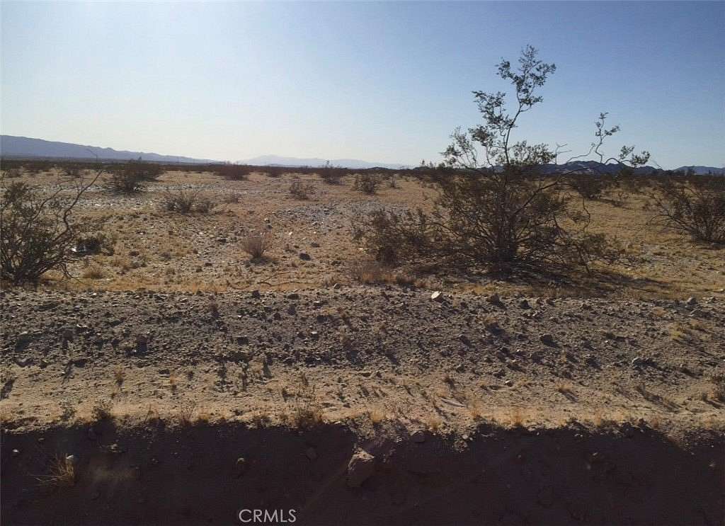 20 Acres of Land for Sale in Twentynine Palms, California