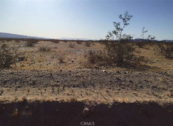 20 Acres of Land for Sale in Twentynine Palms, California