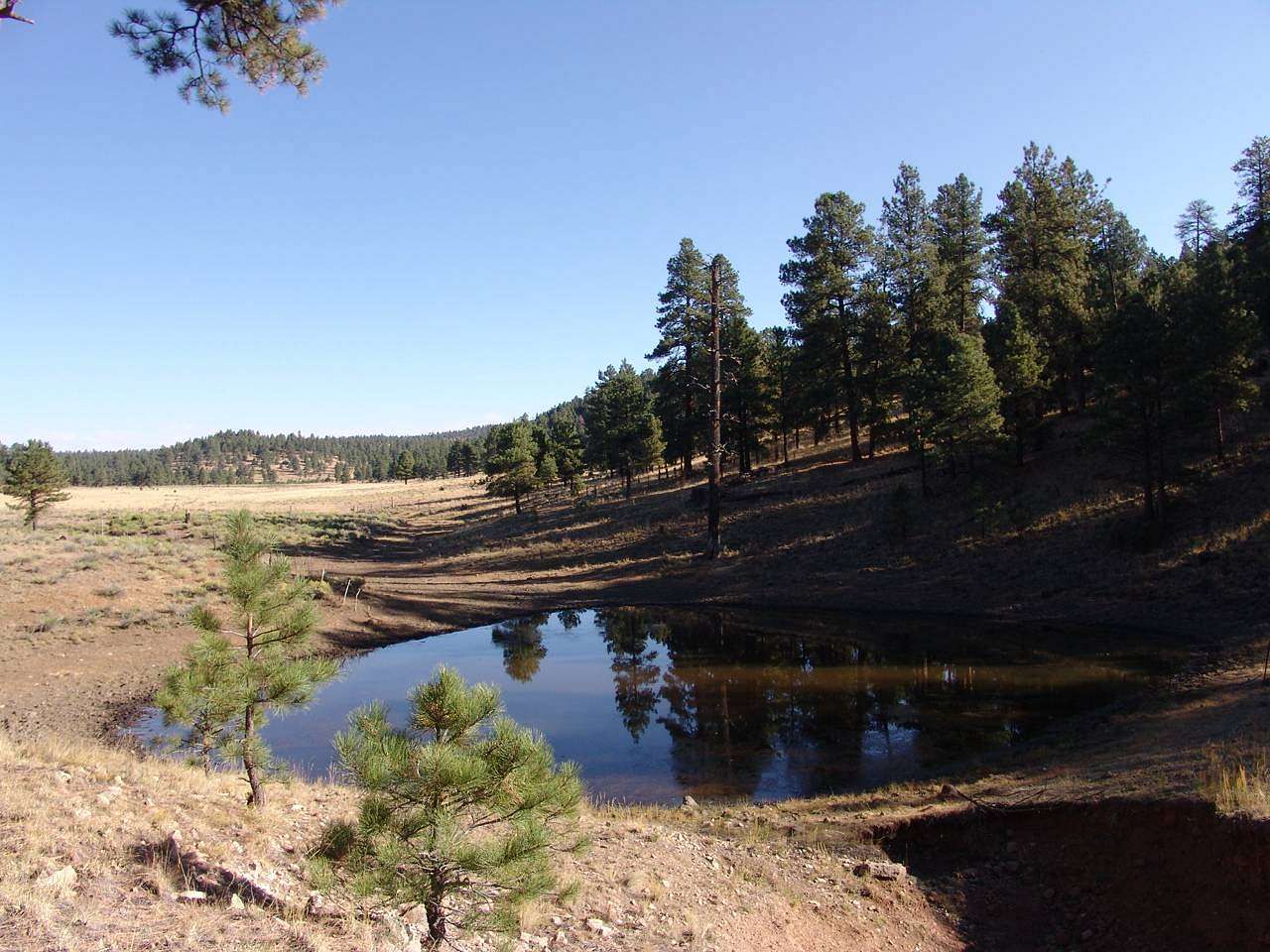 48,500 Acres of Recreational Land & Farm for Sale in Datil, New Mexico ...