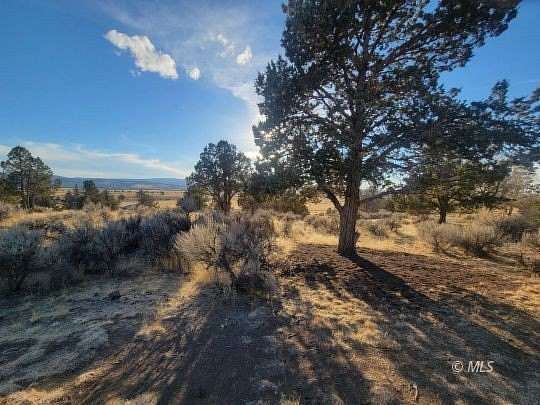 2 Acres of Land for Sale in Alturas, California